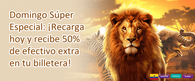 Plan Referido Amigo promotion