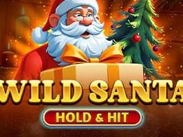 Wild Santa Hold and Hit screenshot